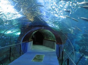 aquarium San Sebastian
