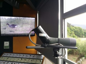 Prismatico con visión en tv, Urdaibai Bird Center