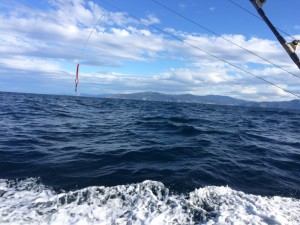 Costa Vasca desde el mar, campaña del Bonito