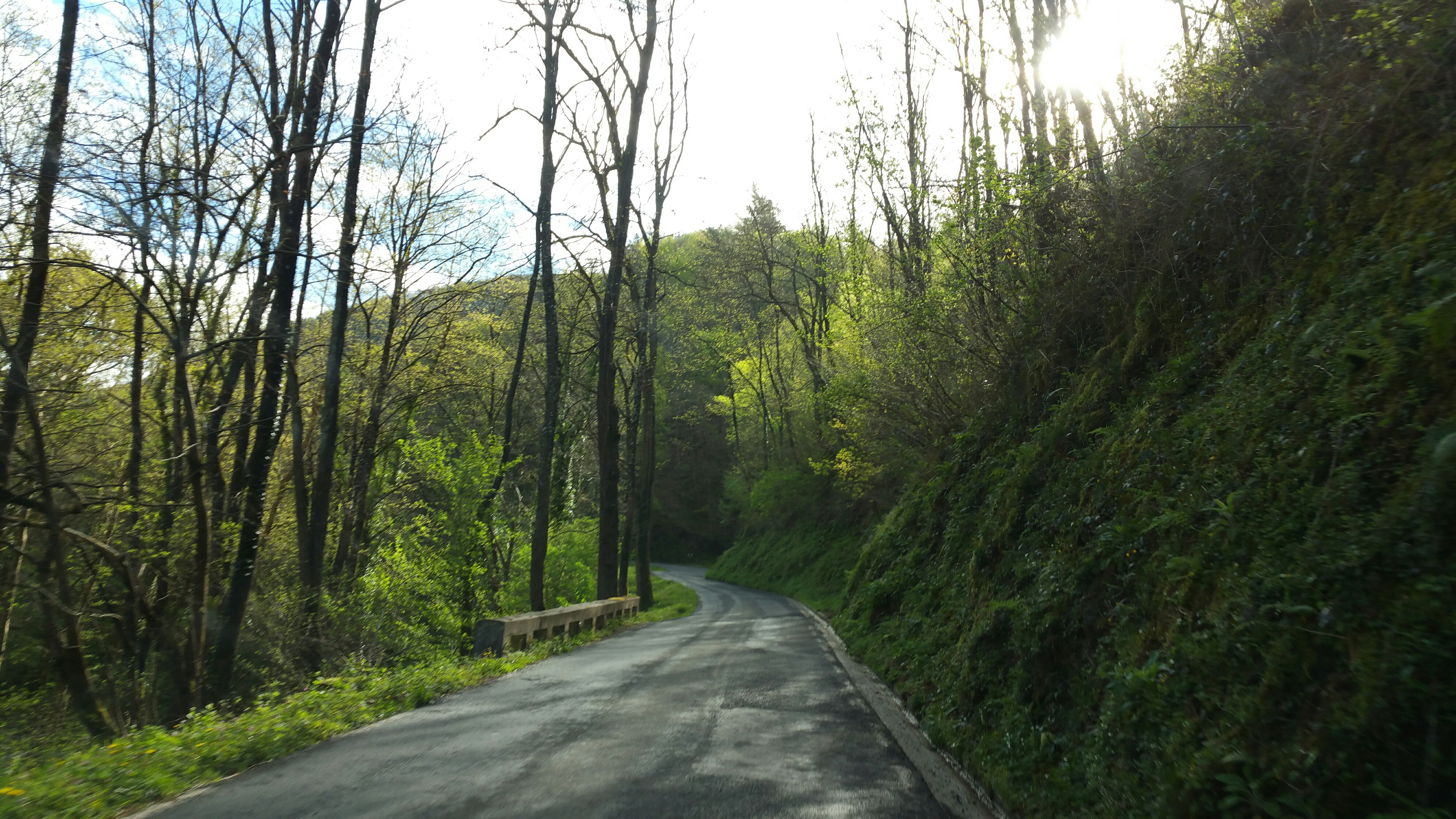 Camino a Beizama | TurismoVasco.com