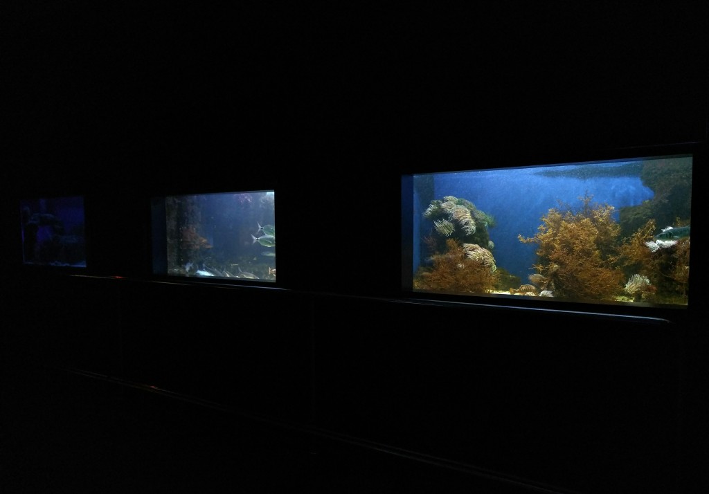 Interior Getxo Aquarium