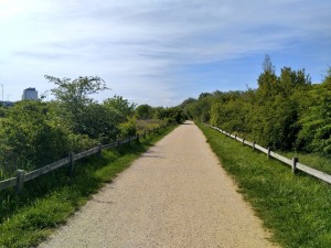 Ruta Salburua, Vitoria-Gasteiz
