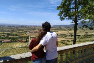 Vistas en el exterior de Laguardia, Rioja Alavesa