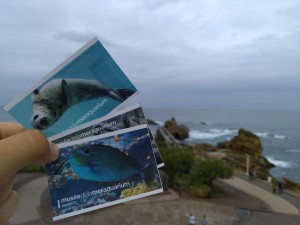 3 Entradas Aquarium de Biarritz