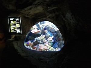 Estanque circular del aquarium de Biarritz