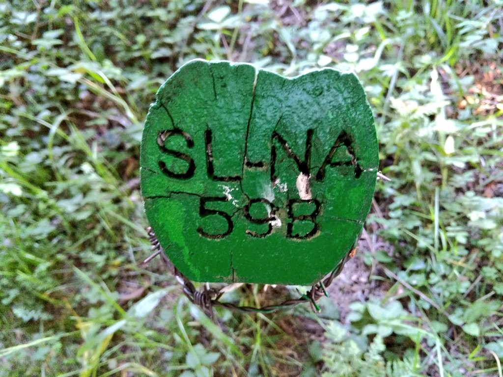 Route 59b sign, Irati forest, Navarrese Pyrenees