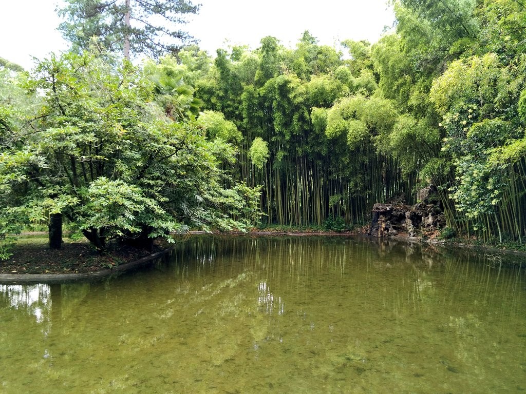 Lake of the Garden of the Natural Park of the Señorío de Bertiz