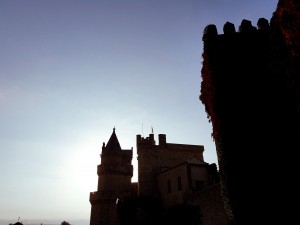 Silueta del Castillo de Olite