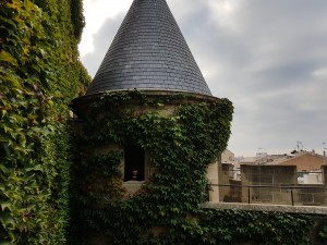Torre , Castillo de Olite