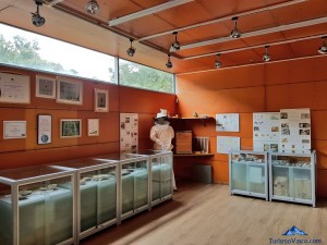 Sala de exposiciones del Jardín Botánico de Santa Catalina