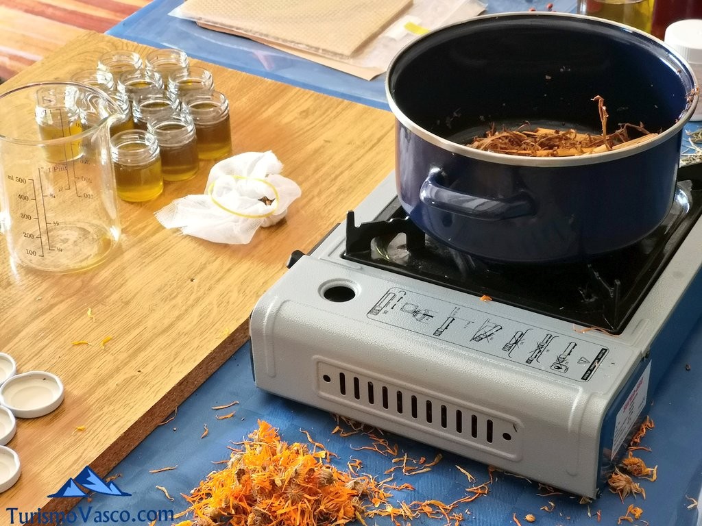 preparation of elderberry ointment, medicinal plants workshop in Zeanuri