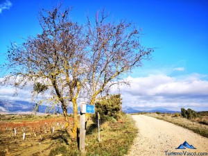 camino ,ruta por Laguardia y sus lagunas