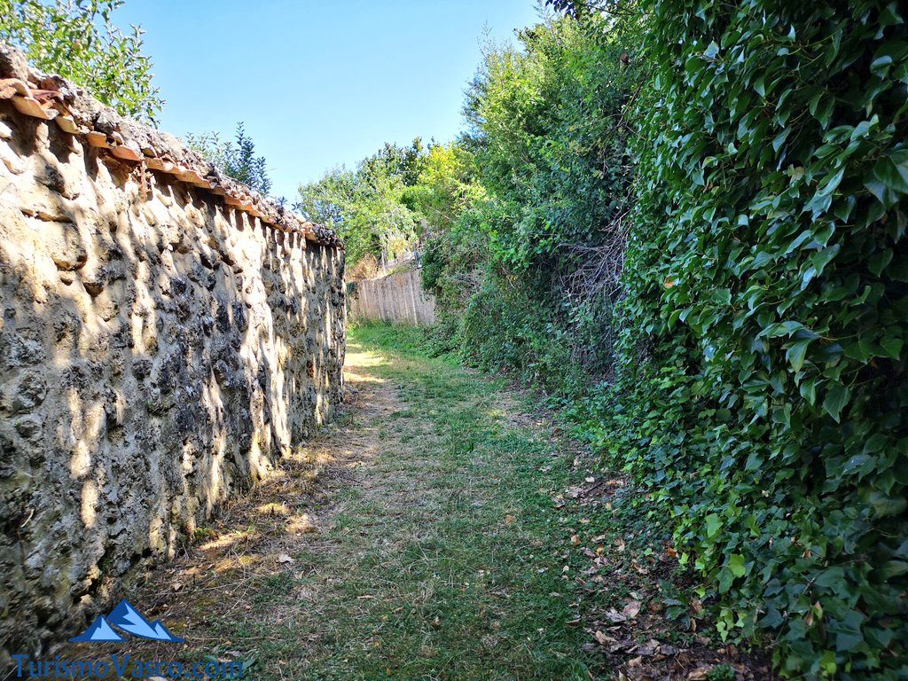 road, route salinas de añana