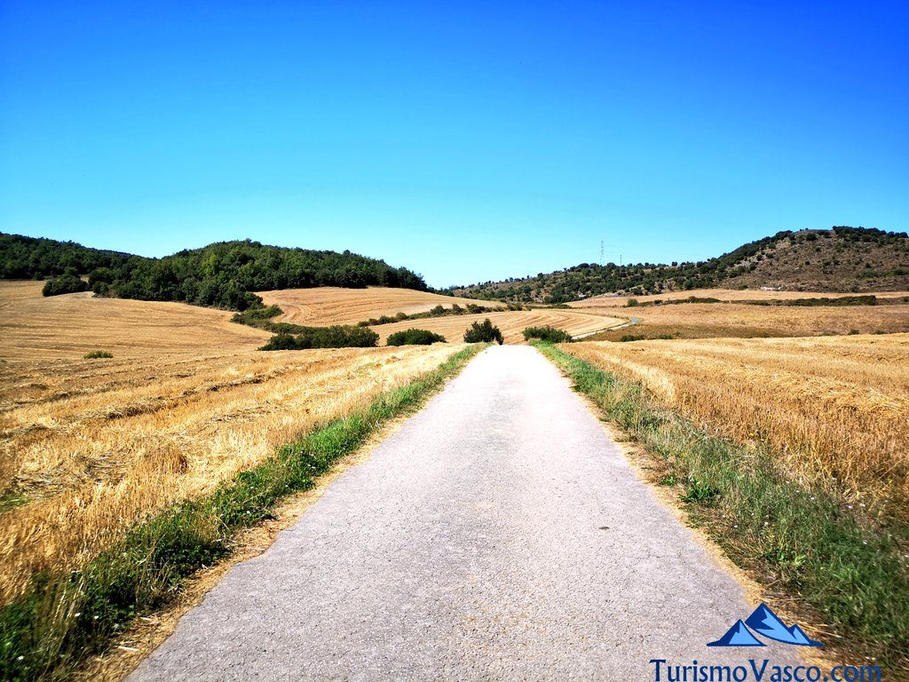 road, route salinas de añana