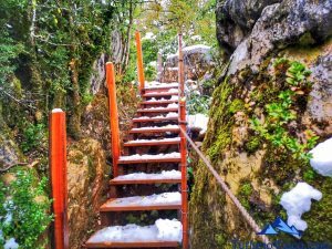 escaleras, Cabañas en los árboles en el Pirineo Navarro