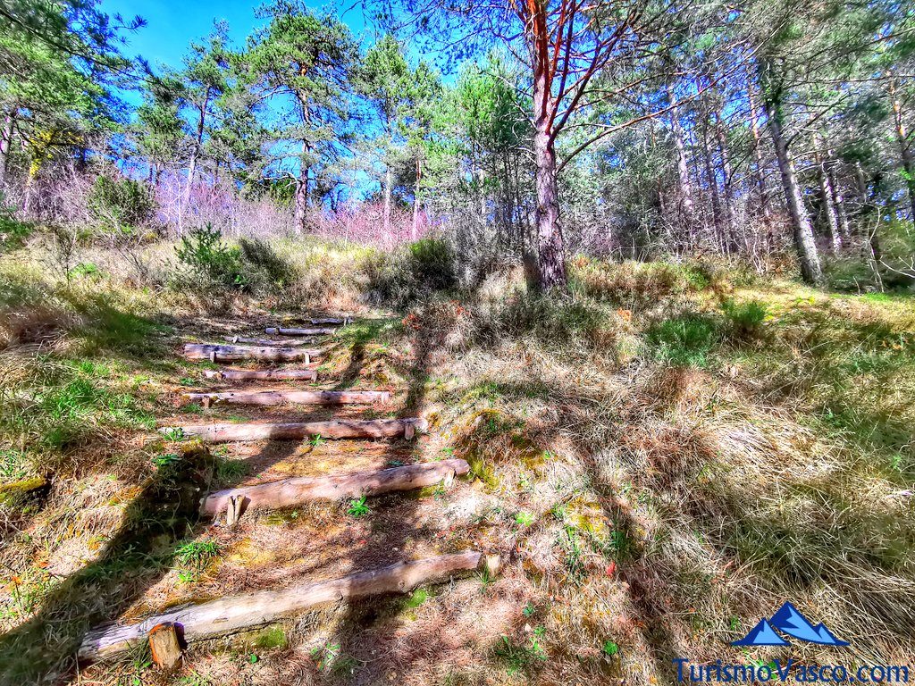 stairs of the Tobillas caves, caves of Valdegovía