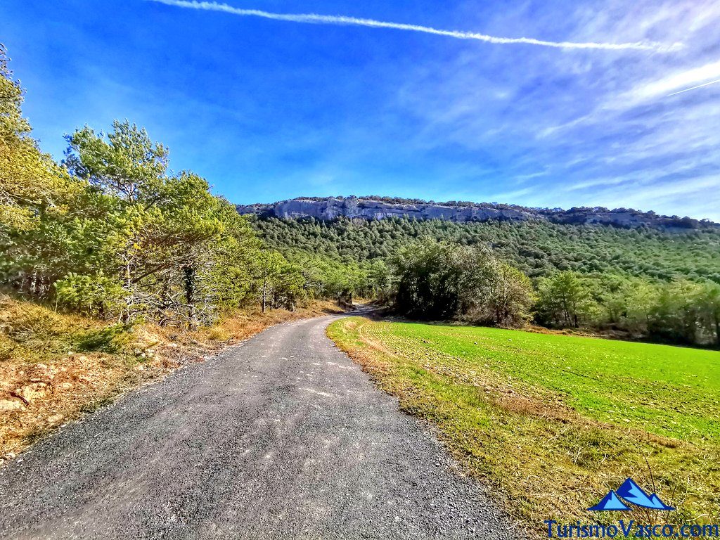 route caves of pinedo, caves of Valdegovía