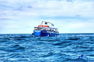 barco, rutas en barco en Donostia San Sebastian