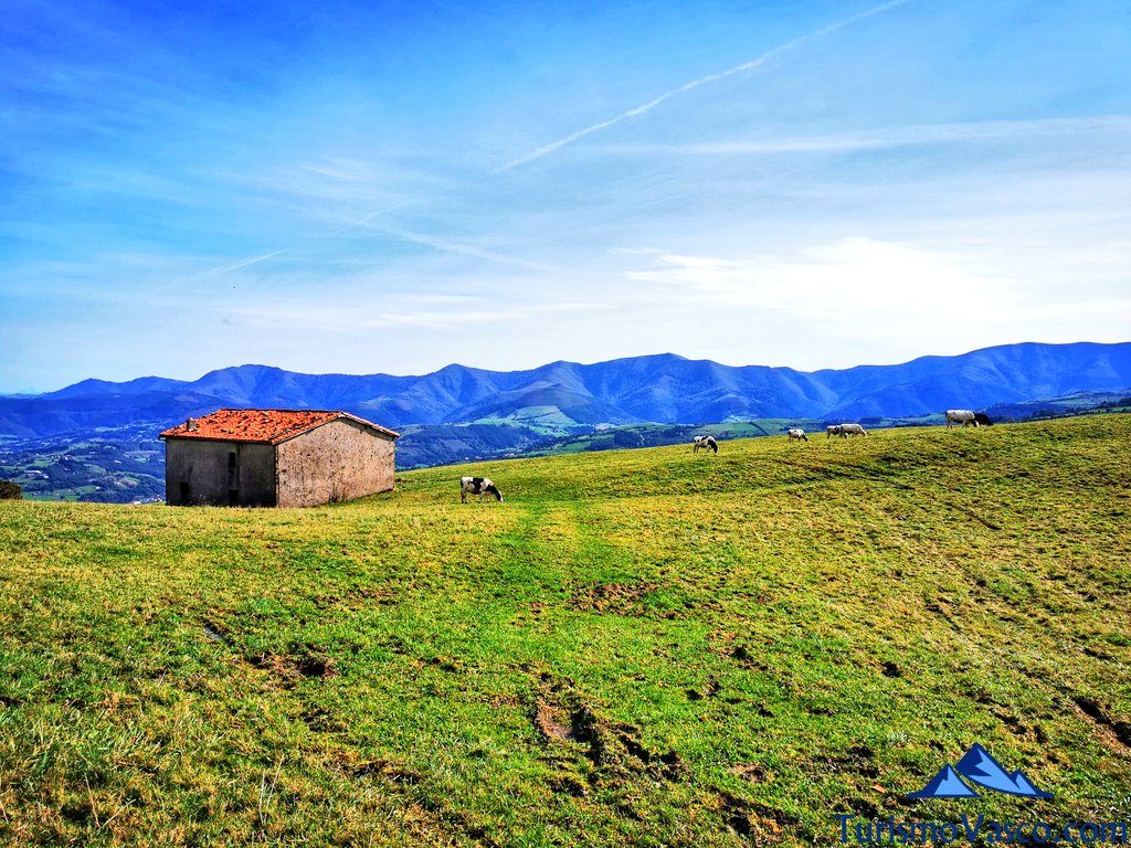 cabaña de ganado en karrantza, Ventana Relux Karrantza