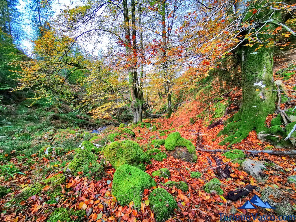 otoño, Cascada Belaustegi Hayedo Orozko