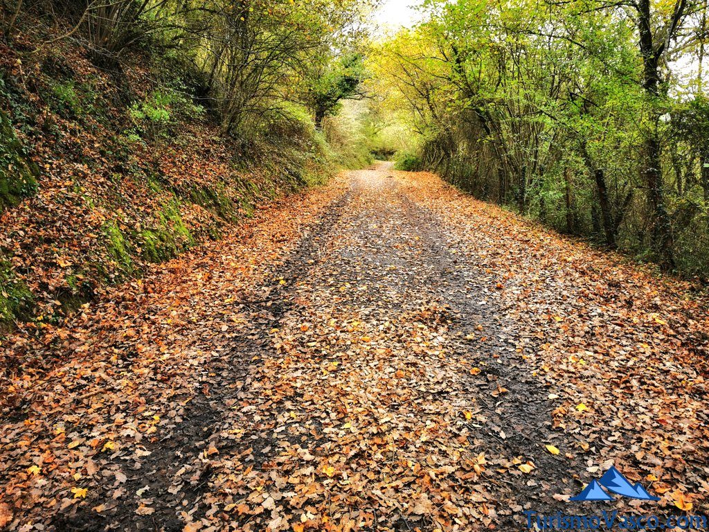route, green path of delika, delika's canyons