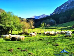 abadiño, parque natural de urkiola, pastor por un día en Euskadi