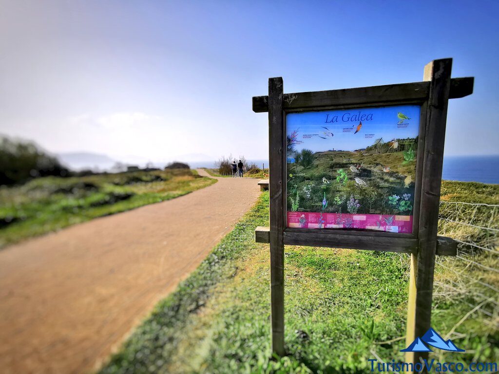 cartel de la galea, flysch de Bizkaia, Getxo, costa de Bizkaia