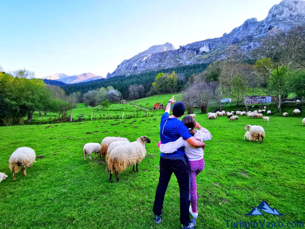 contemplando parque natural de urkiola, pastor por un día en Euskadi