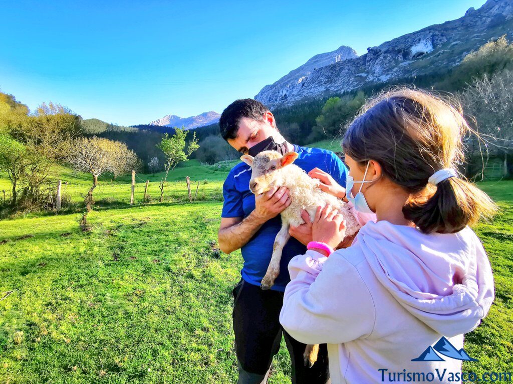 familia acariciando cordero, pastor por un día en Euskadi