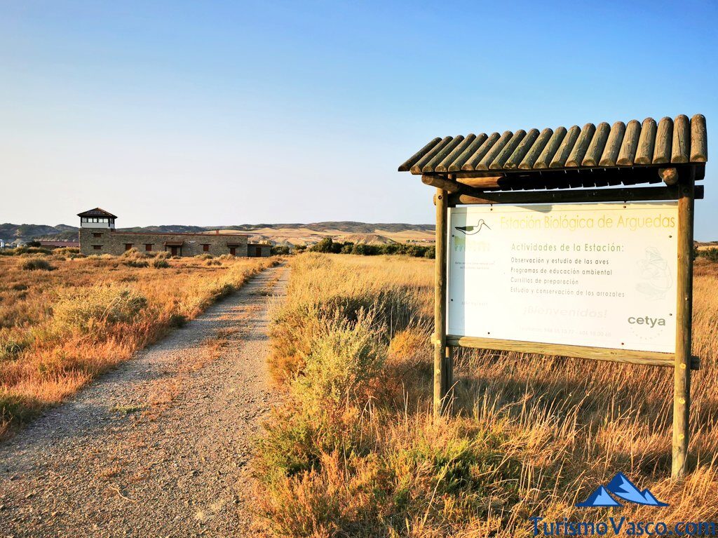 birdwatching in the bardenas, arguedas biological station, gurelur, what to see in Arguedas, the bardenas, the bardenas