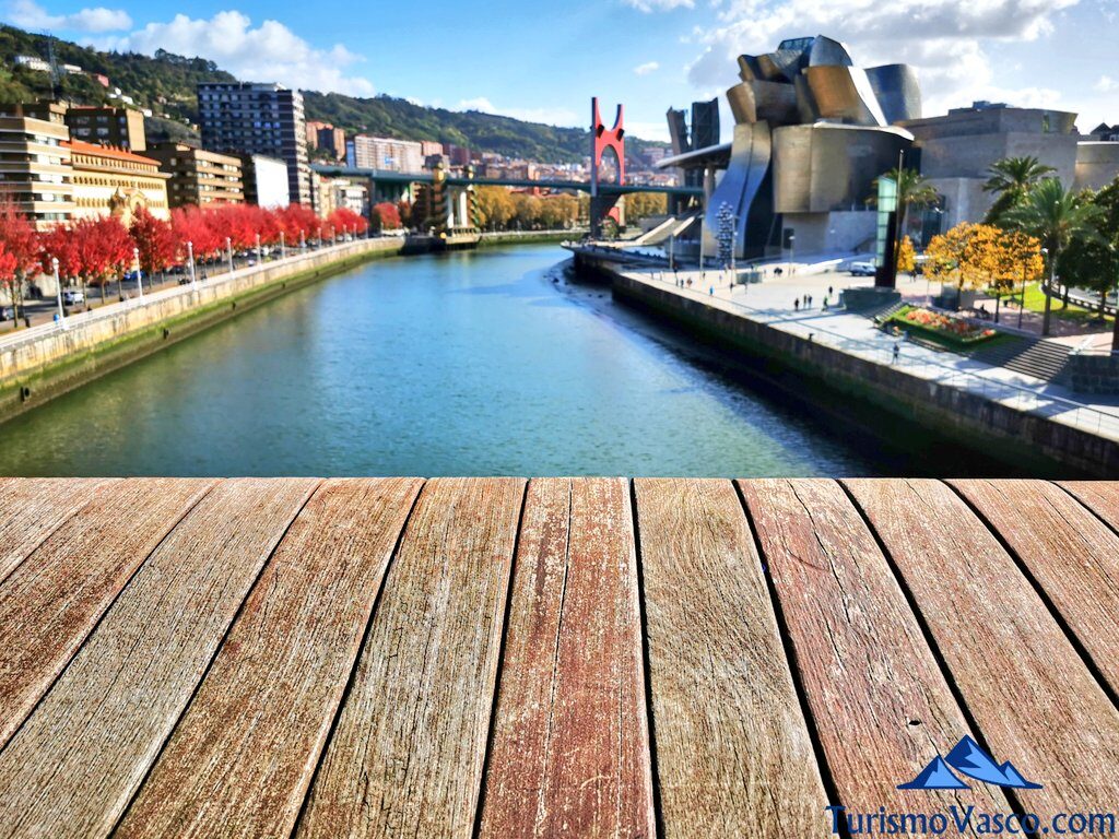 museo guggenheim desde la pasarela de la universidad de deusto, qué ver en Bilbao