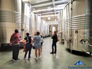visita guiada en la bodega lozano, vendimia en Rioja Alavesa, bodegas de Rioja Alavesa