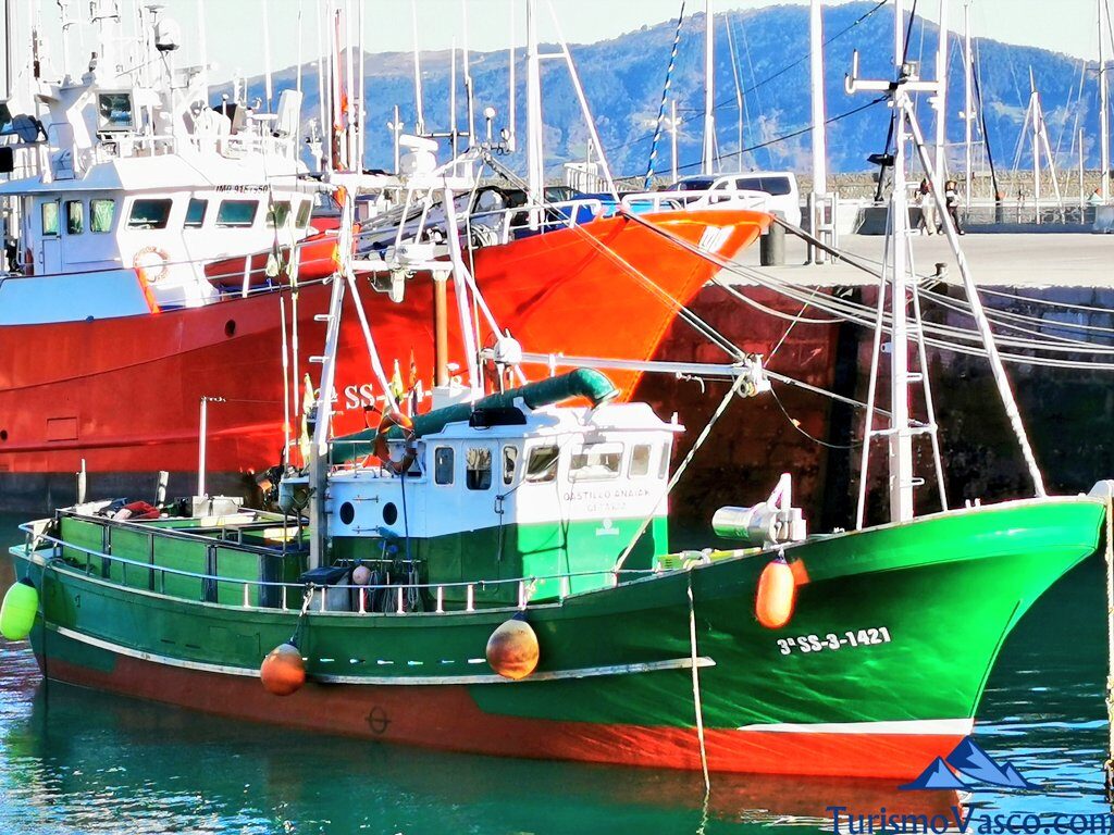 barcos de pesca en el puerto de Getaria, que ver en Getaria