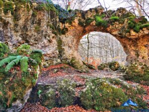 vegetacion en el arco de zalamportillo, ruta laberinto de Arno