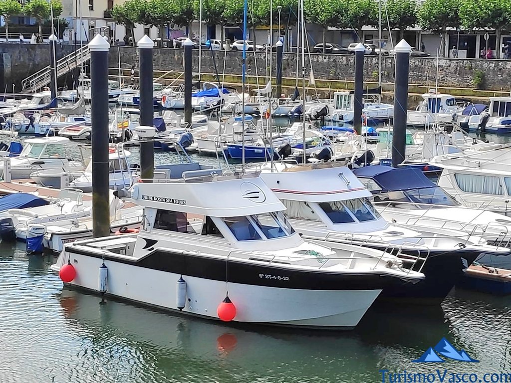 alquiler de barcos en plentzia, rutas en barco en Plentzia