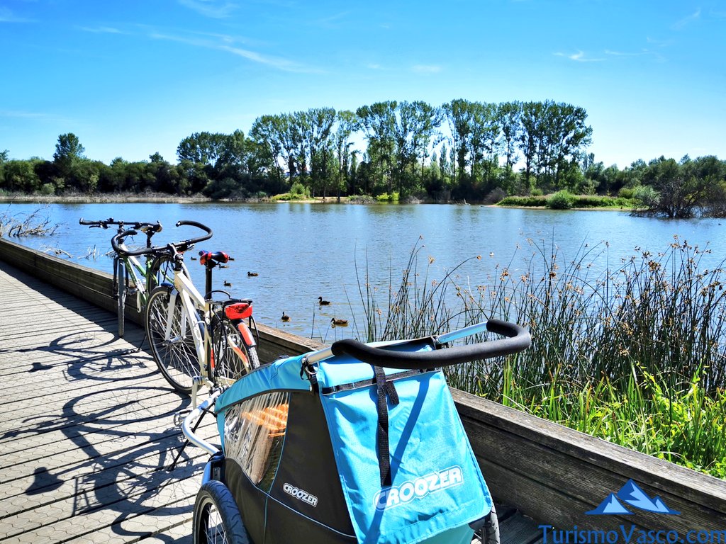 parque de salburua, alquiler de bicicleta en Vitoria Gasteiz, visita guiada en bicicleta en Vitoria Gasteiz
