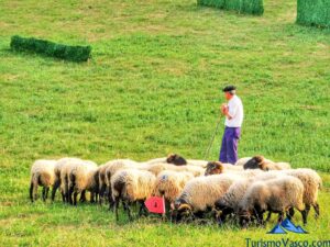exhibicion de perros pastores en euskadi, campeonato de perros pastor en euskal herria