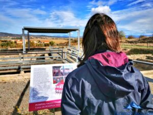 excursion and guided visit to the site of iruña velaia in añana, araba, euskadi