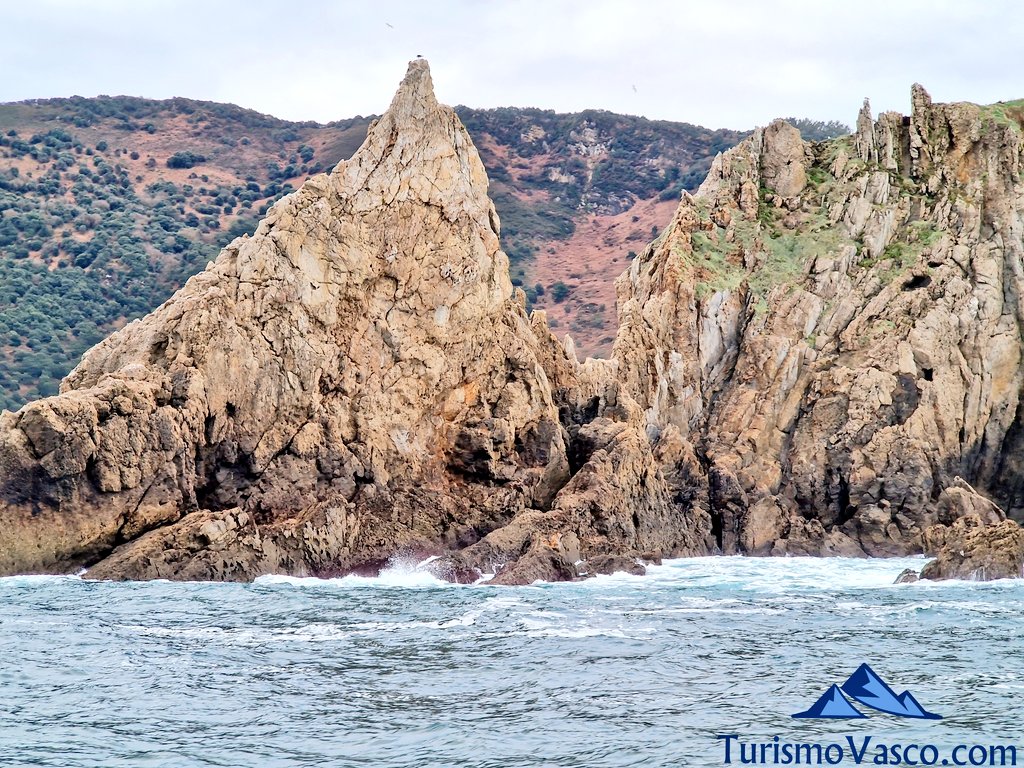 Billano Island, the Dragon of Gorliz, Boat Tours in the Bizkaia Flysch