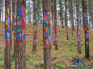 colors, new oma forest
