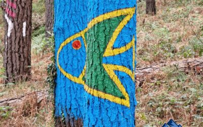 Bosque de Oma, el bosque pintado de Urdaibai.