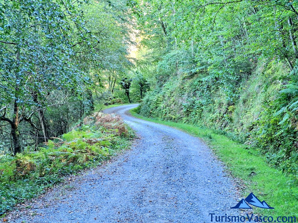 recorrido de la ruta hayedo de Balgerri, Karrantza