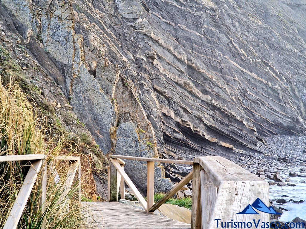 pasarela de madera de barrika, visitas guiadas en barrika