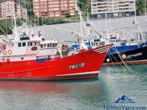visitas guiadas en bermeo y urdaibai