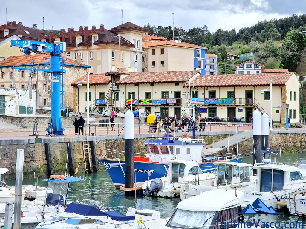 Boat tours from the Port of Armintza