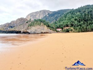 playa Laga, mejores playas de Urdaibai