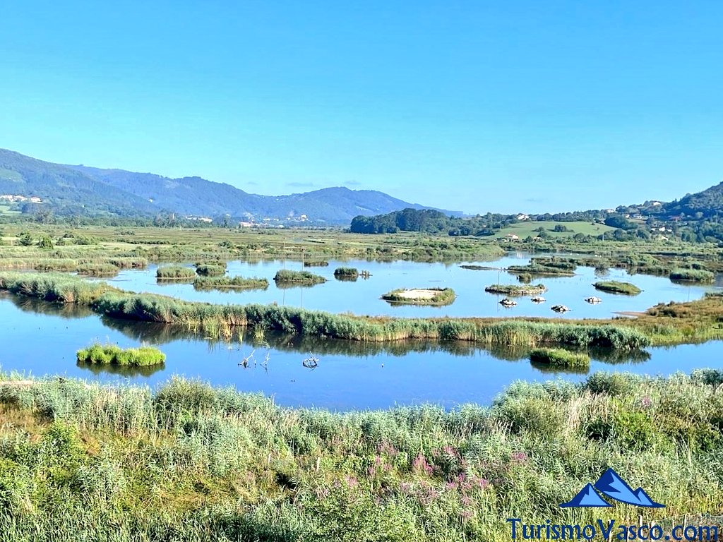 guided tour of the Urdaibai marshlands