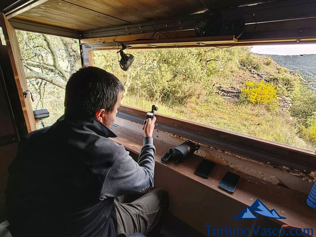 avistamiento de aves, avistamiento de aguilas reales en euskadi