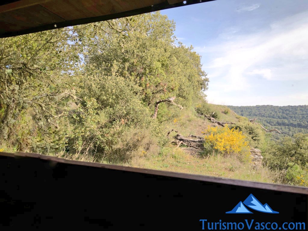 avistamiento de aves en euskadi, hide