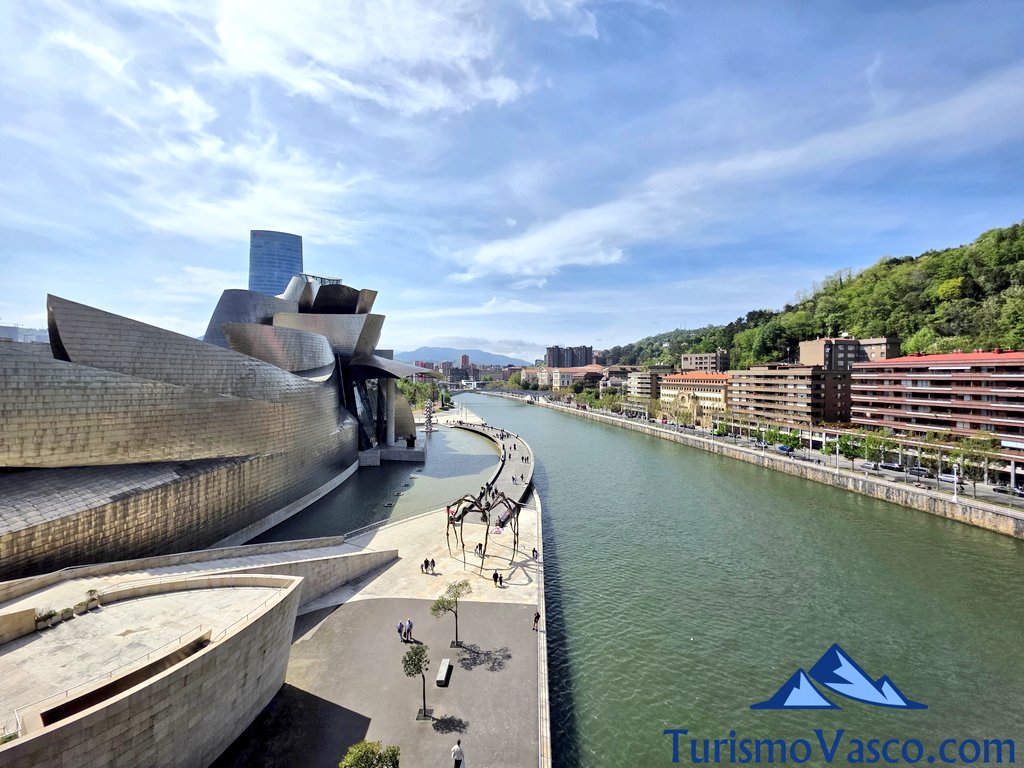 visitas guiadas en bilbao y en el museo guggenheim bilbao